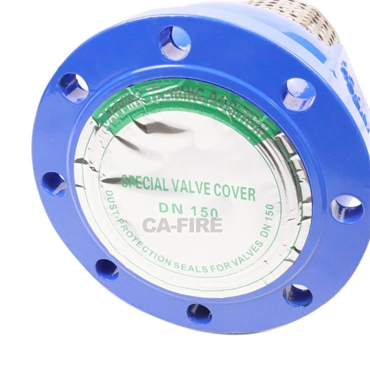 Flange Bottom Foot Valve: Prevent Backflow + High-Seal Performance, Safety Guarantee For Piping Systems manufacturers