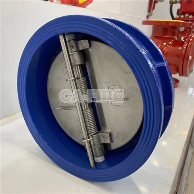 Βαλβίδα ελέγχου γκοφρέτας από χυτοσίδηρο