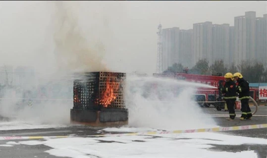 product-539-320 product-539-320